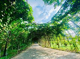 Forever Green Resort