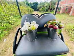 Forever Green Resort