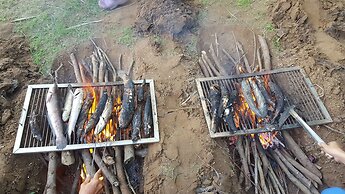 Forever Green Resort