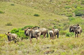 Garden Route Safari Camp