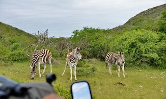 Garden Route Safari Camp