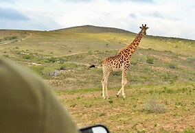 Garden Route Safari Camp