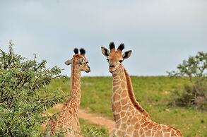 Garden Route Safari Camp