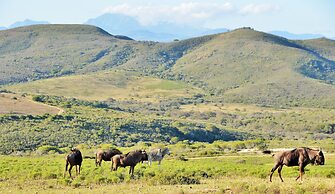 Garden Route Safari Camp
