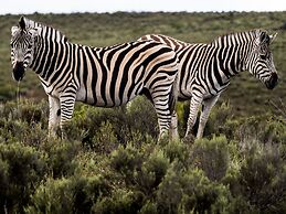 Garden Route Safari Camp