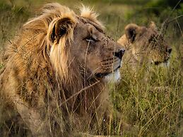 Garden Route Safari Camp