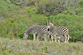 Garden Route Safari Camp
