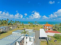 Driftwood On The Beach
