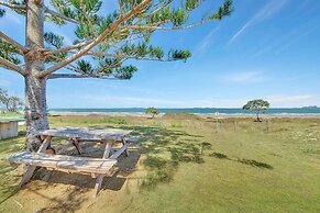 Driftwood On The Beach