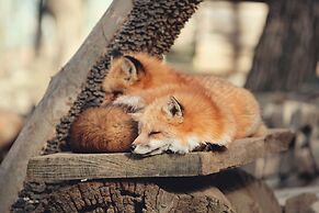 Pacific Hotel Shiroishi