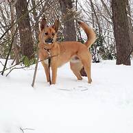 Petit Hotel Kazekozou