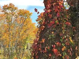 Petit Hotel Kazekozou