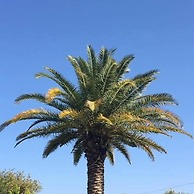 The Green Beach Resort Hotel