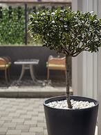 Holiday Home Aspalathos