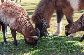 Baltic Natur Park - Holiday Resort