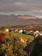 Comfortable mountain view apartment near Lucerne