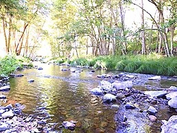 Mandala Springs Wellness Retreat Center