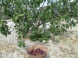 Agriturismo Donna Beatrice