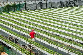 Quan Ming Line Museum