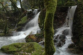 Os Migueliños