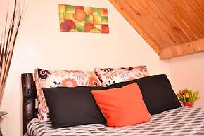 Sherry Homes Skyline Penthouse