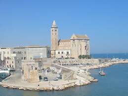 Enjoy Trani
