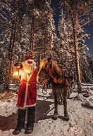 The Elegant Haistila