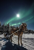 The Elegant Haistila