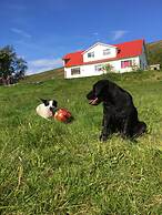 Öndólfsstaðir Farm B&B
