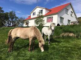 Öndólfsstaðir Farm B&B