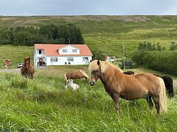 Öndólfsstaðir Farm B&B