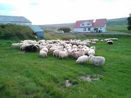 Öndólfsstaðir Farm B&B