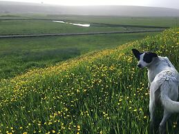 Öndólfsstaðir Farm B&B