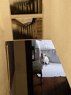 The Old Palace Tower / La Torre del Palación