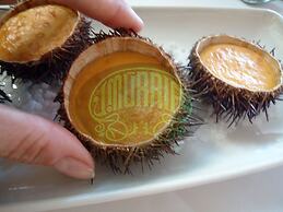 The Old Palace Tower / La Torre del Palación