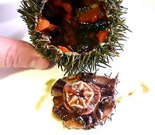 The Old Palace Tower / La Torre del Palación