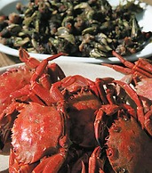 The Old Palace Tower / La Torre del Palación