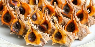 The Old Palace Tower / La Torre del Palación