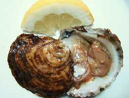 The Old Palace Tower / La Torre del Palación