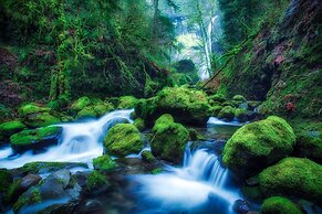 The Old Palace Tower / La Torre del Palación