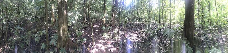 Selvita Lodge Arenal