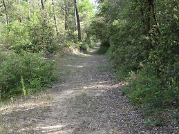 Camping Le Bois Verdon