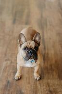 Fazenda Verde Praia do Rosa