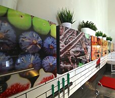 Lost & Found - Guesthouse & Suites