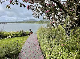 Gone With the Wind Cabin