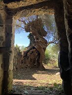 Le Case di Don Peppino