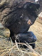 Farmer's Guest House