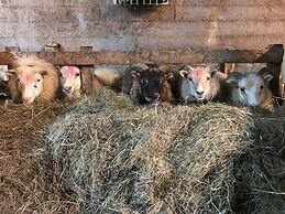 Farmer's Guest House