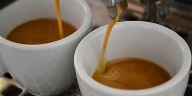 Al Pez Exclusive Rooms