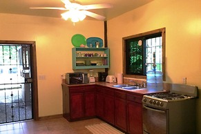 Tortuga Bahia Lower Unit